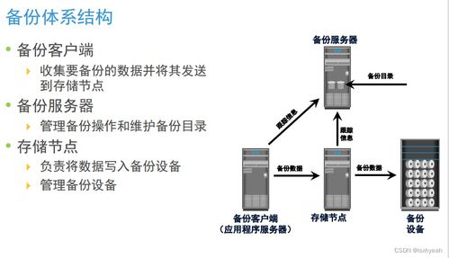 數(shù)據(jù)存儲技術(shù)復(fù)習（四） 數(shù)據(jù)處理與存儲服務(wù)概覽